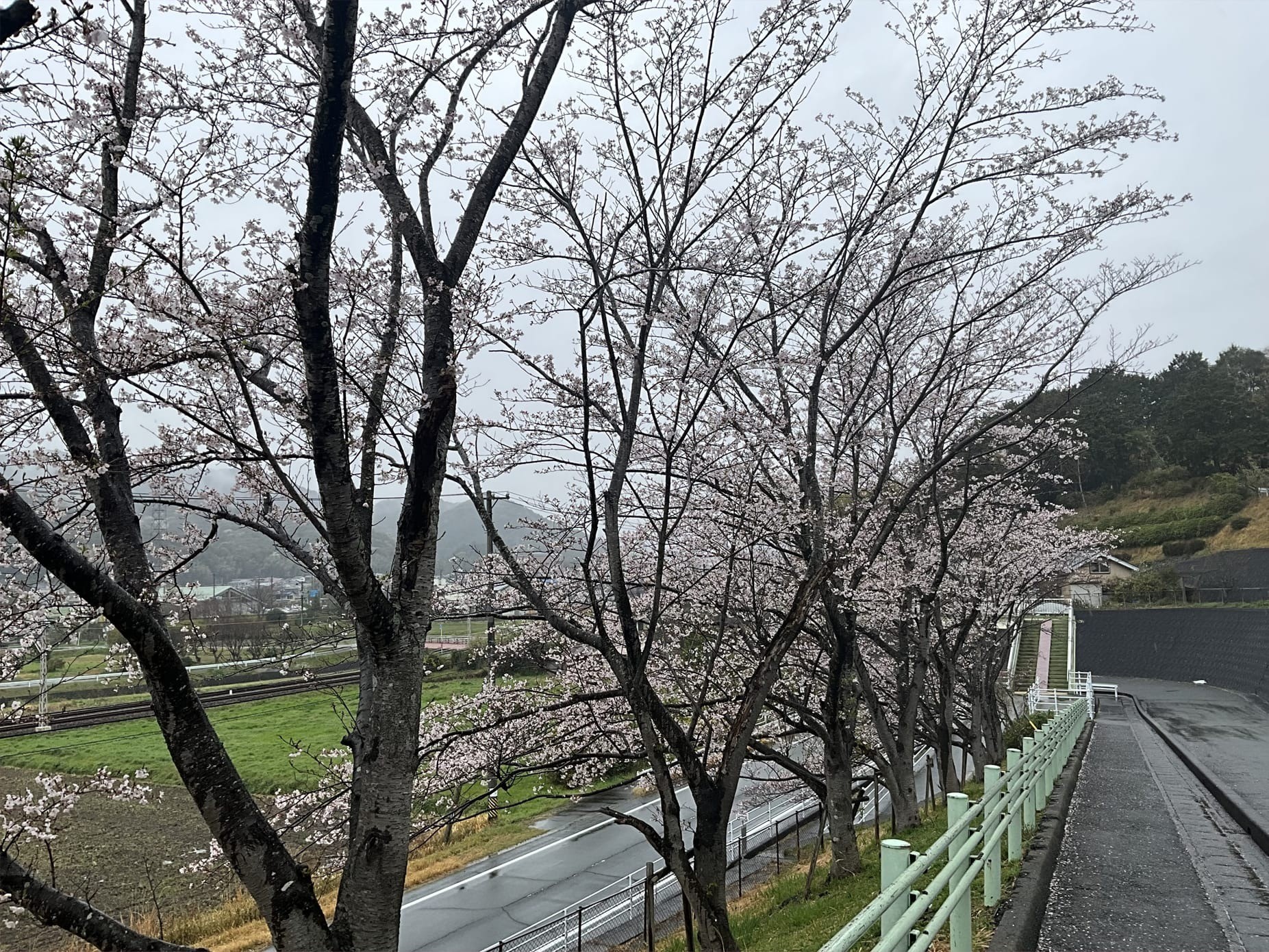 四月は、少し不思議な月です。