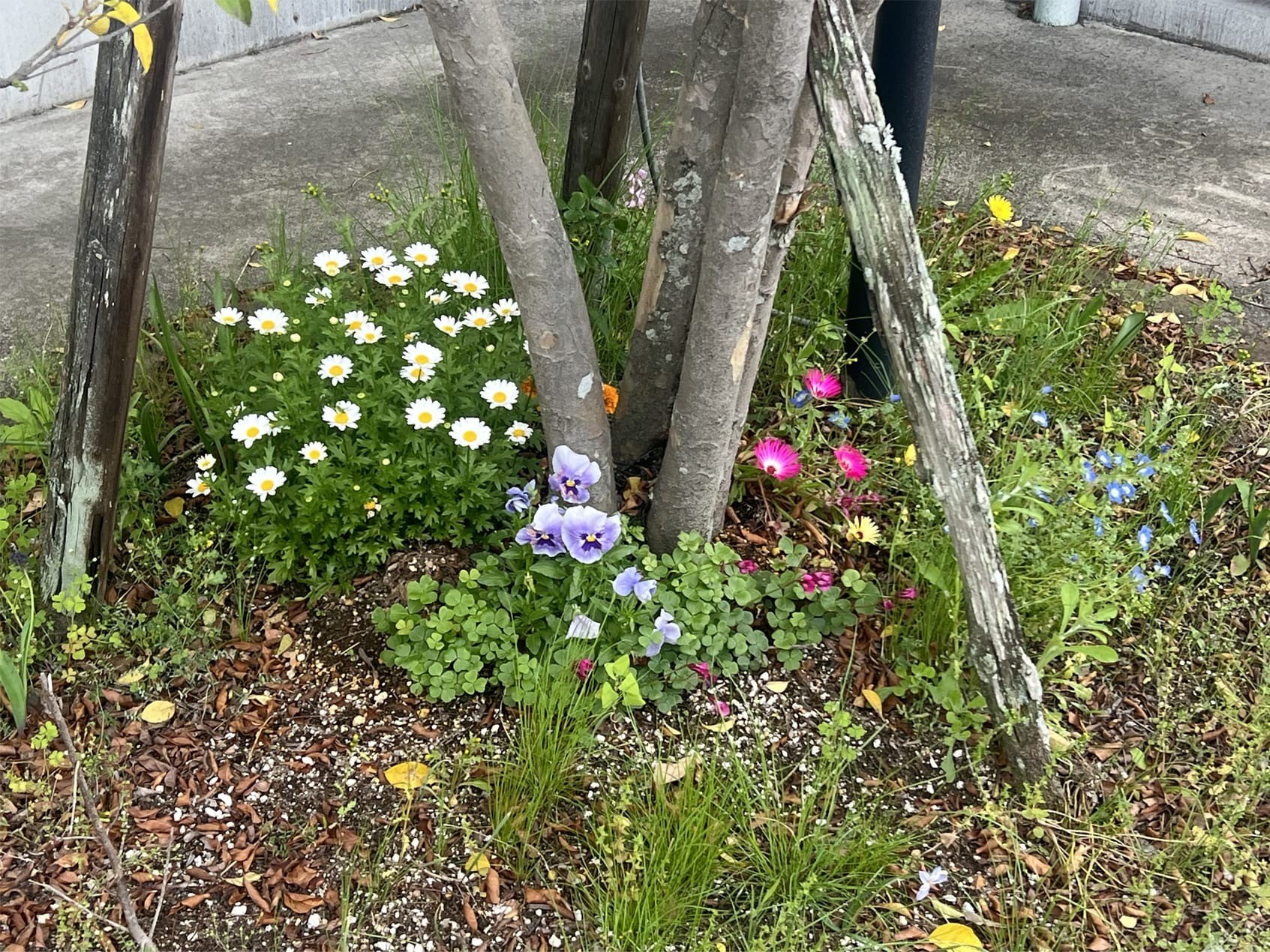 新年度の慌ただしさが落ち着く頃、ふと心や体に重さを感じることはありませんか。