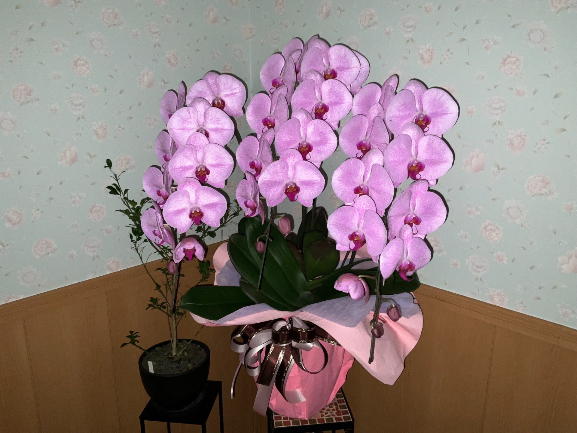誰にも相談できないあなたへ