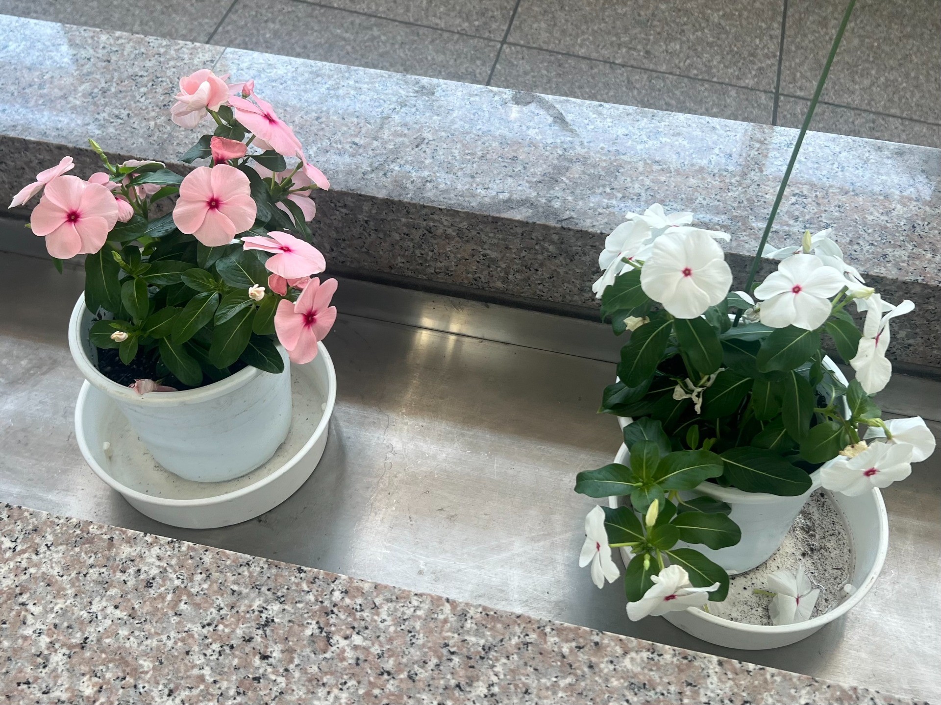 疲れが抜けないあなたへ
